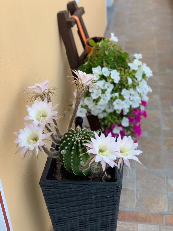 Bb Borgo Biella Bed and Breakfast Candelo Εξωτερικό φωτογραφία