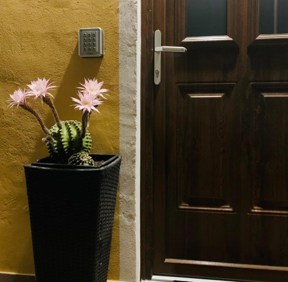 Bb Borgo Biella Bed and Breakfast Candelo Εξωτερικό φωτογραφία